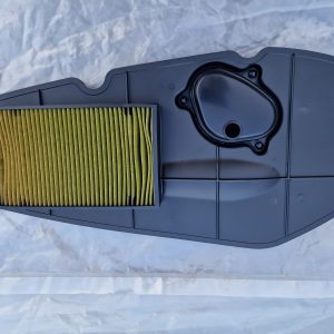Element Comp. filtre a air Honda Forza 250