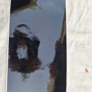 Decalcomanie cache valise gauche et droit BMW R1200RT - R1250RT - F800 GT/GS